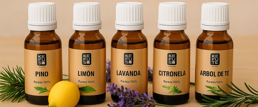 Guía completa de aceites naturales: usos y beneficios de cada tipo